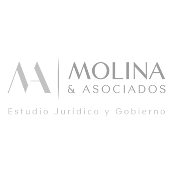 Logo-Molina y Asociados